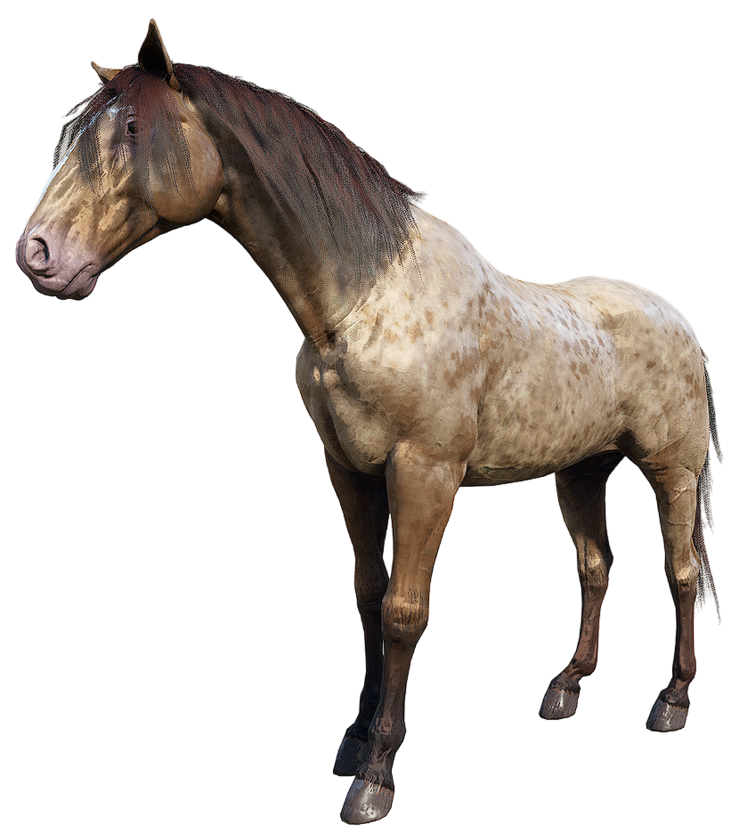 Missouri Fox Trotter