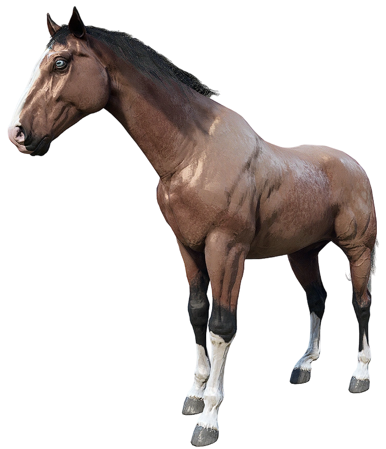 American Standardbred