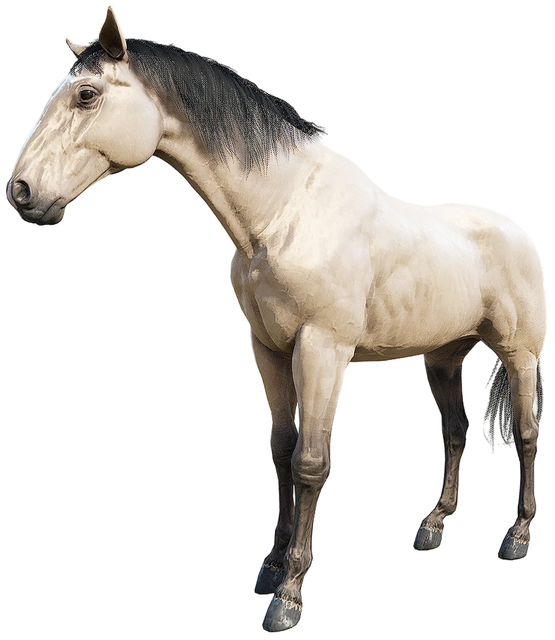 Kentucky Saddler