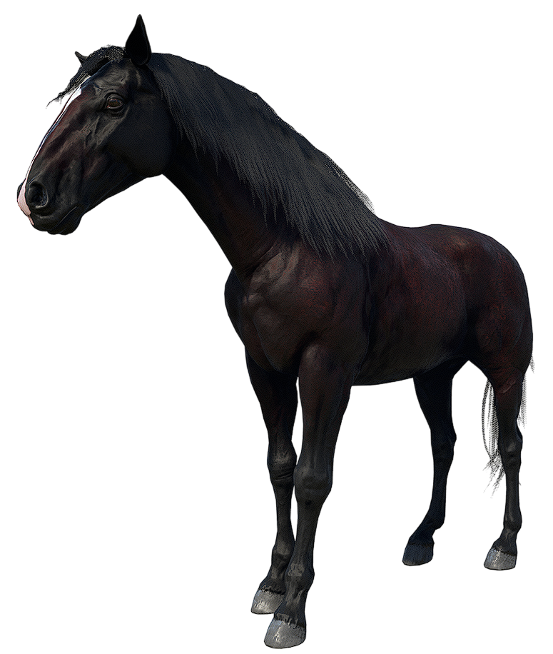 Andalusian