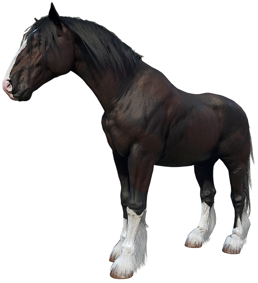 Shire