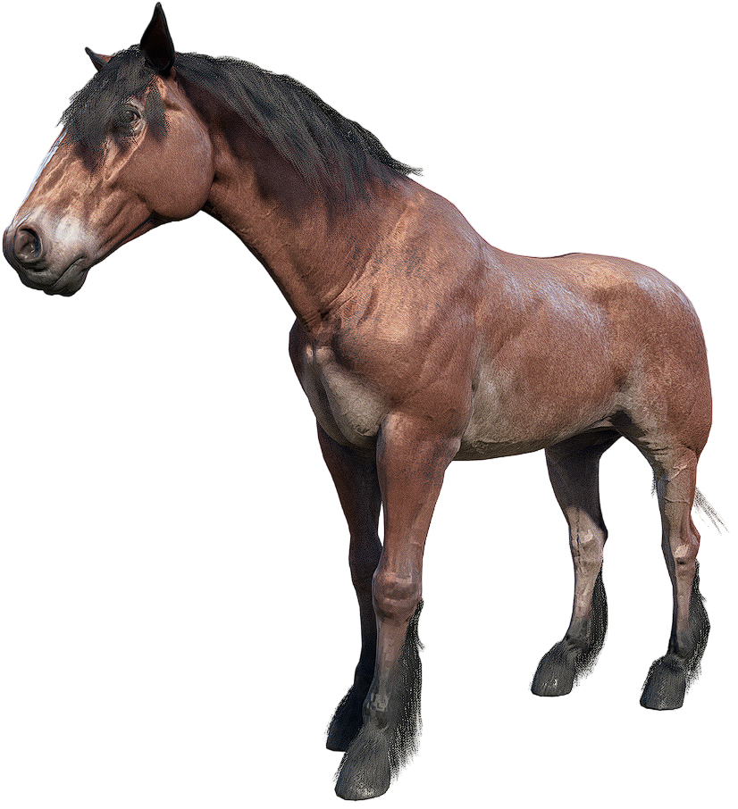 Mustang